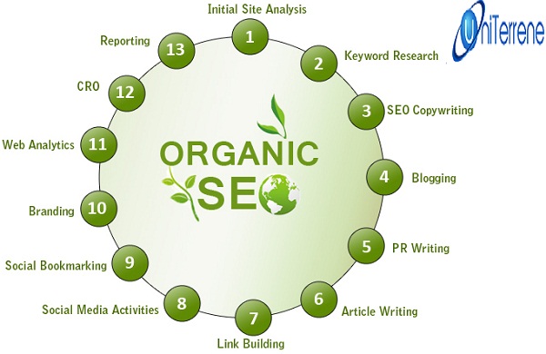 Why Organic SEO Services Are Highly Demanded Today? | UniTerrene.com
