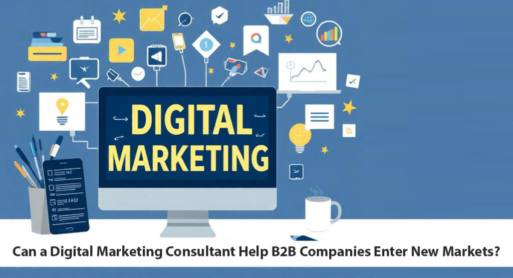 digital marketing consultant for b2b companies